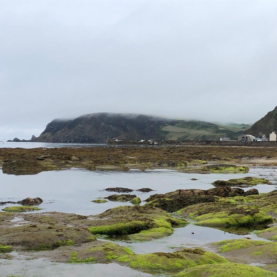 Puffins Nest Villa Gardenstown Екстериор снимка
